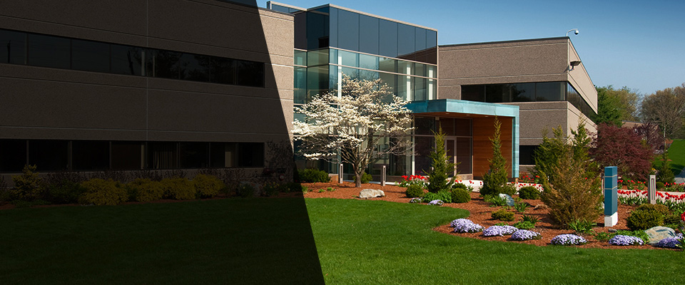 Hortense Landscapers