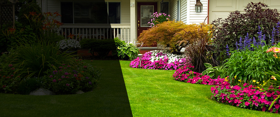Hortense Landscapers