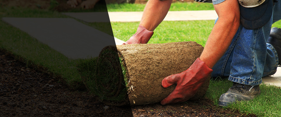 Hortense Landscapers